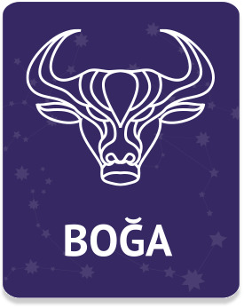 Boğa