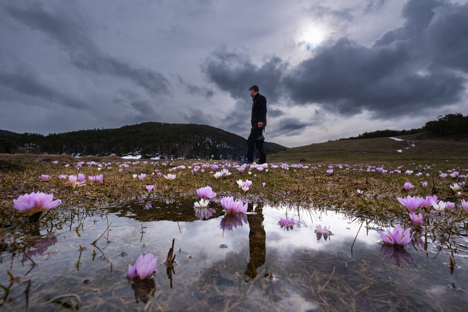 Havanın ısındığı Yozgat’ta enfes manzaralar: Kır çiçekleri açtı, Göndelen Deresi coştu