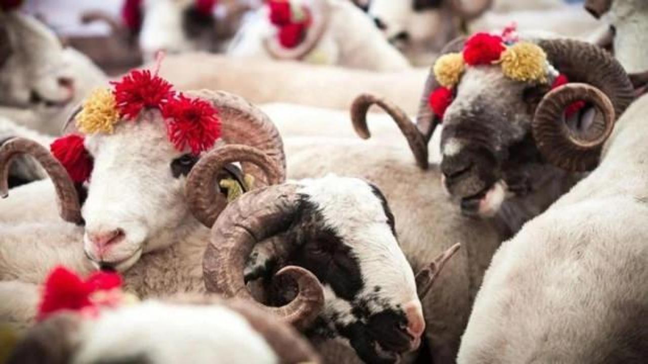 Kurban Bayramı tarihi 2026 | Kurban Bayramı tatili kaç gün olacak?