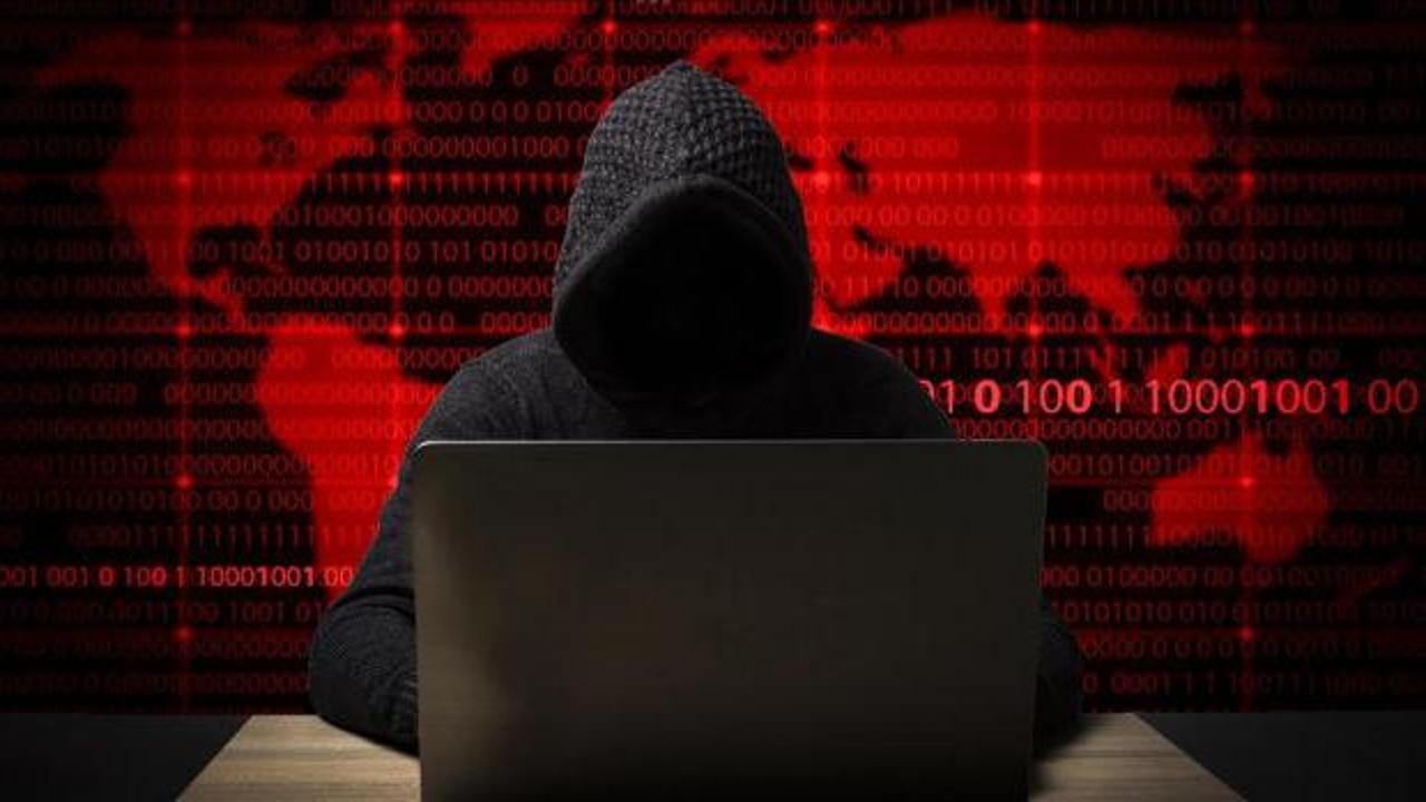 Sınır tanımıyorlar: e-Devlet sistemini bile kopyaladılar