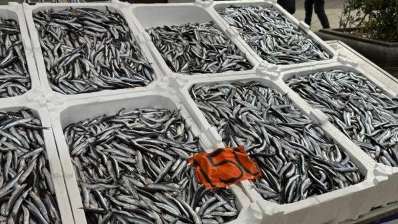 Tezgahlarda son günleri: Kilosu 150 lira