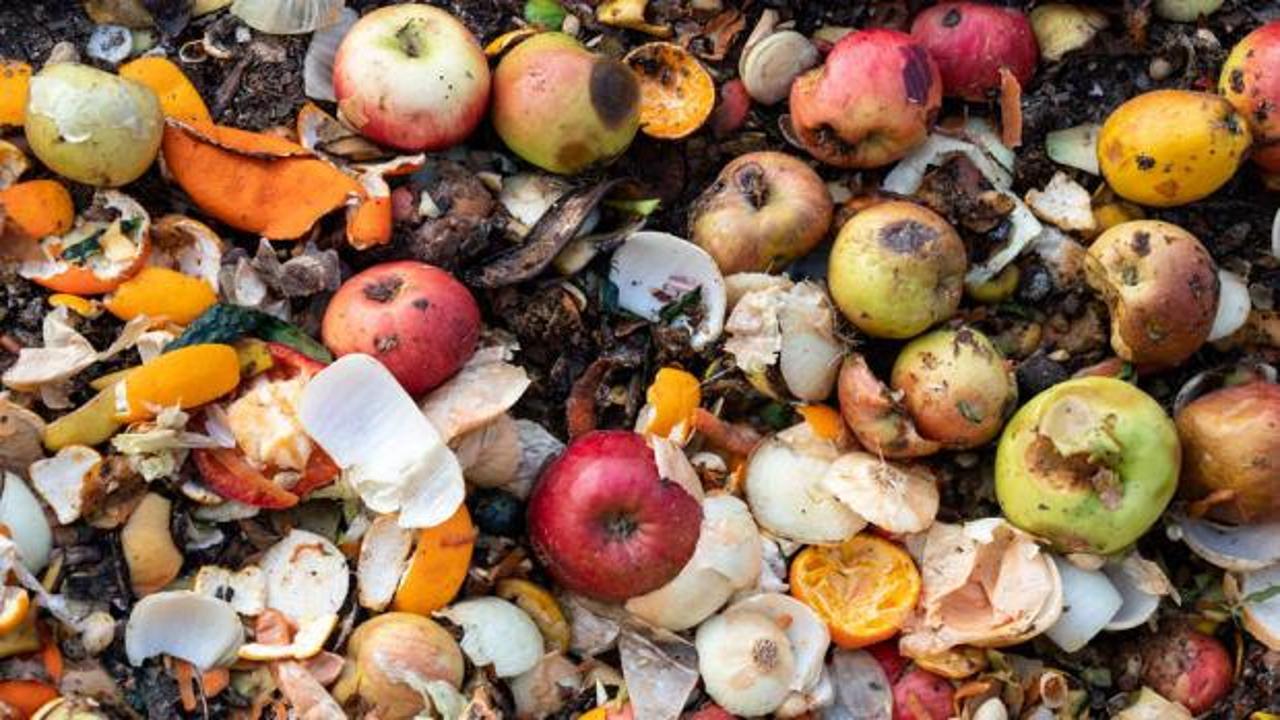 Çöpe giden servet dudak uçuklattı: Trilyon dolarlık kayıp