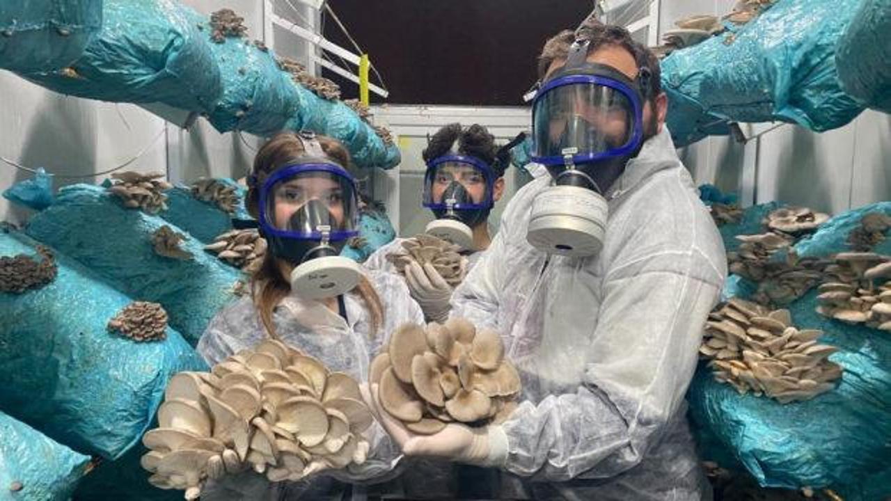 Hobi olarak başladı: Günde 1 tona yakın hasat elde ediyor