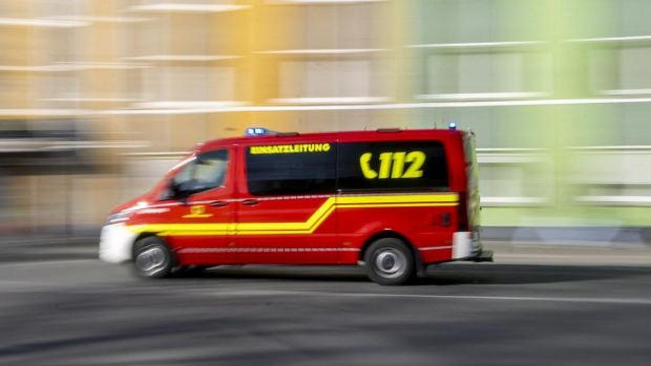 Şehre inen kurt, yardım etmek isteyen kadına dehşeti yaşattı