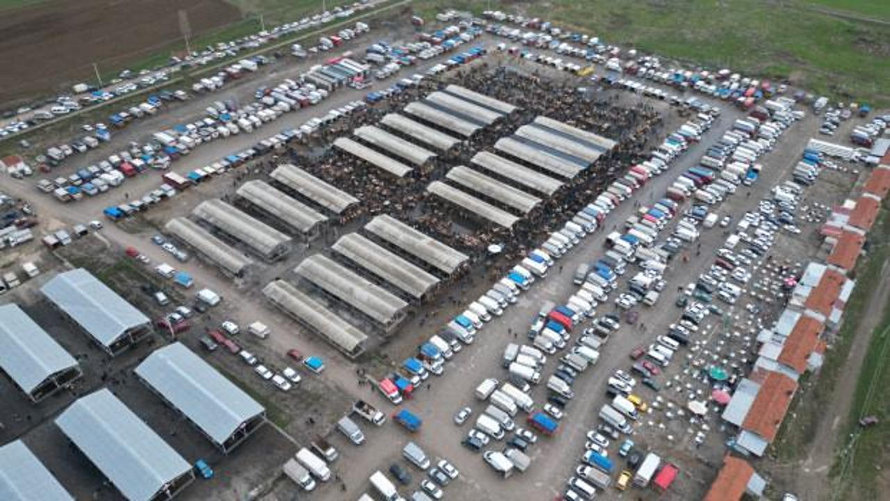 'Koyun fiyatları 18 ile 22 bin lira arasında değişiyor'